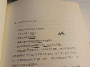 南方周末韩寒：他为何拒绝招安？