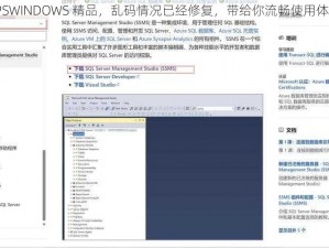 VPSWINDOWS 精品，乱码情况已经修复，带给你流畅使用体验