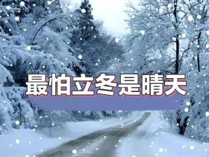 公交激战晴雪、在一个寒冷的冬日，公交上为何会上演公交激战晴雪这般激烈的场景呢？这背后隐藏着怎样的故事？