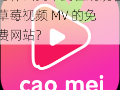 为什么找不到在线观看草莓视频 MV 的免费网站？