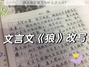 伊人中文狼文为什么这么火？