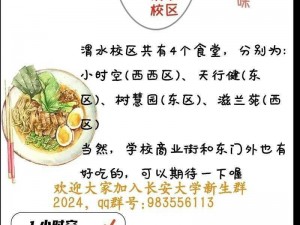 大中华食堂探索之旅：萌新入门攻略，解锁美味玩法