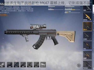 绝地求生刺激战场新枪 MK47 震撼上线，它到底强不强？