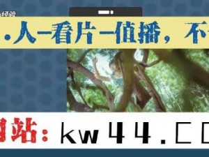 日本 ZLJZLJZLJZLJ 视频为什么这么火？如何观看？有哪些精彩内容？