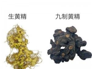 国精产品一二三区区别在哪;国精产品一二三区区别在哪？详细剖析各区域特点及差异