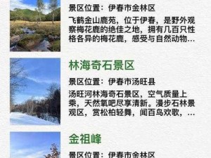 伊甸园的骄傲安装及配置说明：畅游梦幻乐园的指南