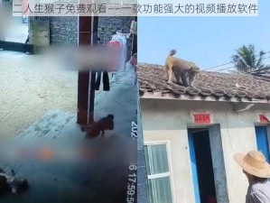 二人生猴子免费观看——一款功能强大的视频播放软件