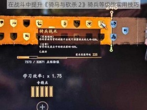 在战斗中提升《骑马与砍杀 2》骑兵等级的实用技巧