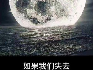 如果人类无法前往月球，我们该怎么办？