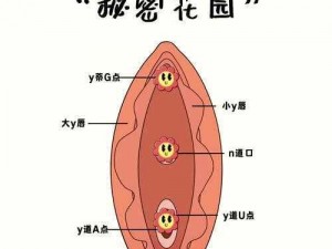 如何亲小花园的技巧：探索美妙的私密地带