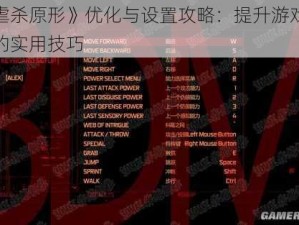 《虐杀原形》优化与设置攻略：提升游戏体验的实用技巧