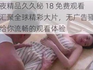 午夜精品久久秘 18 免费观看，汇聚全球精彩大片，无广告骚扰，给你流畅的观看体验