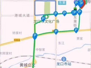 小草回家永不迷路 2024，智能定位追踪器，精准守护你的每一步