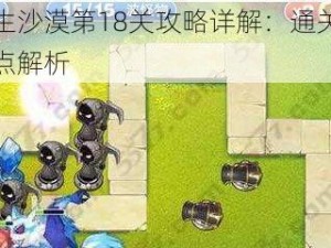 火花人生沙漠第18关攻略详解：通关教程分享与难点解析