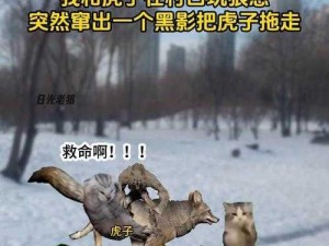 老狼在无人区遇到危险怎么办？无人区无人救援，老狼如何求生？