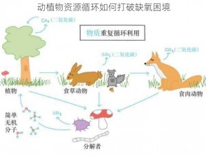 动植物资源循环如何打破缺氧困境