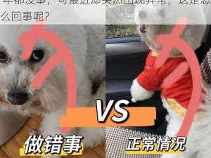 我家的狗做了4年都没事、我家的狗做了 4 年都没事，可最近却突然出现异常，这是怎么回事呢？