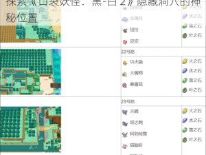 探索《口袋妖怪：黑-白 2》隐藏洞穴的神秘位置