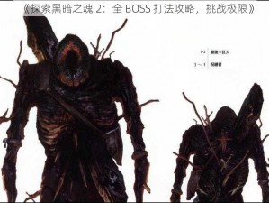 《探索黑暗之魂 2：全 BOSS 打法攻略，挑战极限》