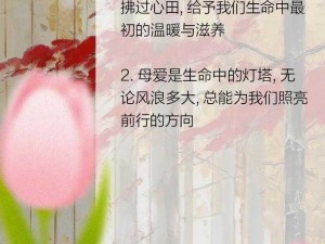 母爱如水，滋养成长，子孝如诗，温馨相伴——XX 产品，呵护母慈子孝共天伦的美好时光