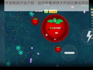 《球球大作战观战方法介绍：如何观看球球大作战比赛或其他玩家的游戏过程》