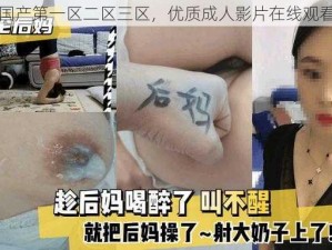 亚洲国产第一区二区三区，优质成人影片在线观看平台