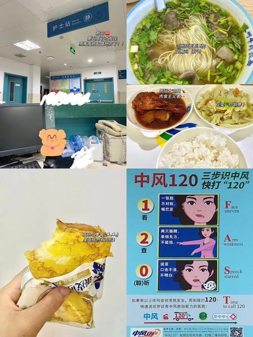 肉食教师食取报告 3HD的具体内容是什么？