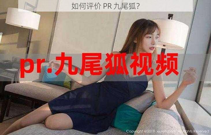 如何评价 PR 九尾狐？