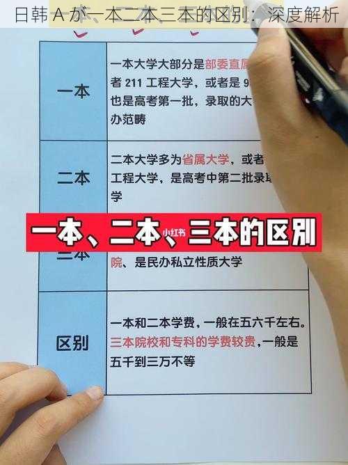 日韩 A が一本二本三本的区别：深度解析