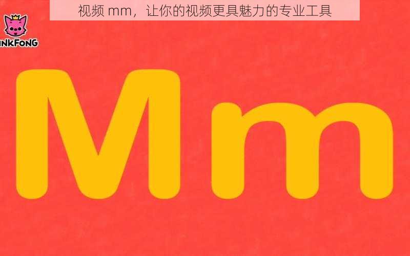 视频 mm，让你的视频更具魅力的专业工具