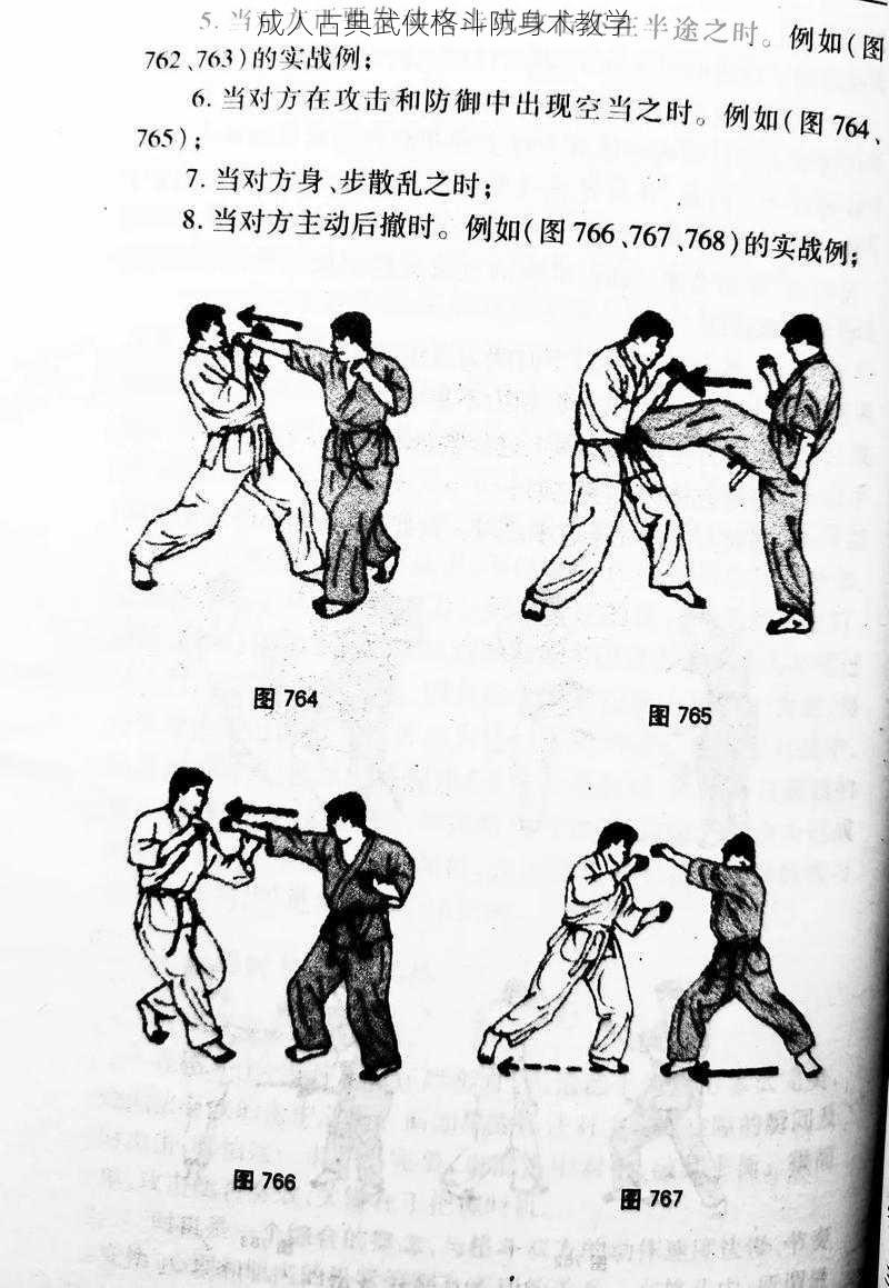 成人古典武侠格斗防身术教学