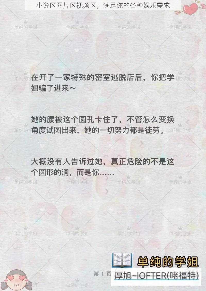 小说区图片区视频区，满足你的各种娱乐需求