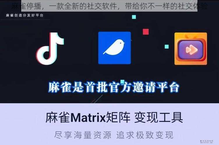 麻雀停播，一款全新的社交软件，带给你不一样的社交体验