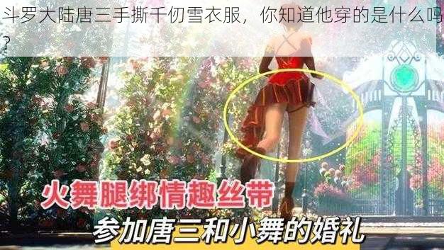 斗罗大陆唐三手撕千仞雪衣服，你知道他穿的是什么吗？