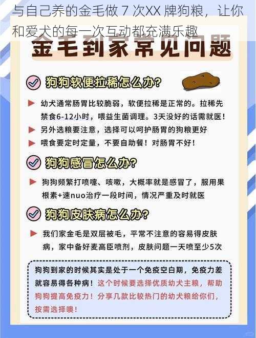 与自己养的金毛做 7 次XX 牌狗粮，让你和爱犬的每一次互动都充满乐趣