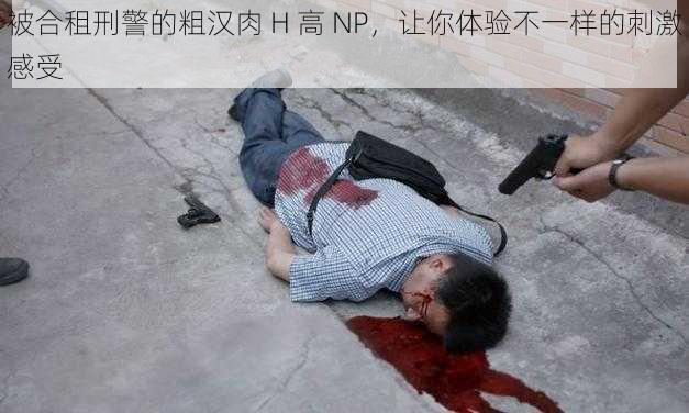 被合租刑警的粗汉肉 H 高 NP，让你体验不一样的刺激感受