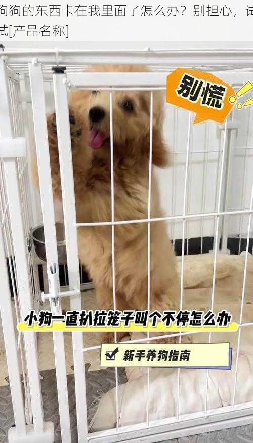 狗狗的东西卡在我里面了怎么办？别担心，试试[产品名称]