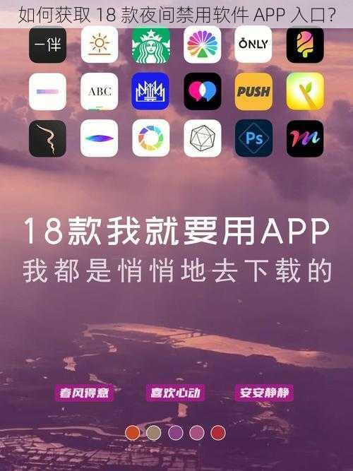 如何获取 18 款夜间禁用软件 APP 入口？