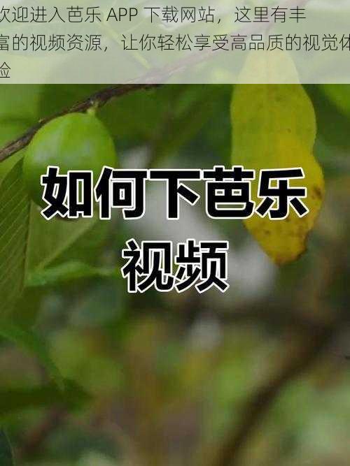 欢迎进入芭乐 APP 下载网站，这里有丰富的视频资源，让你轻松享受高品质的视觉体验