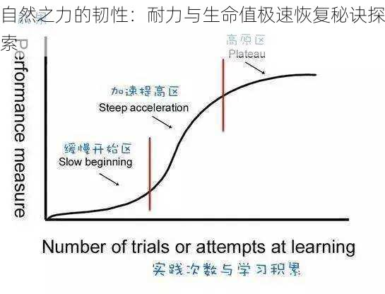 自然之力的韧性：耐力与生命值极速恢复秘诀探索