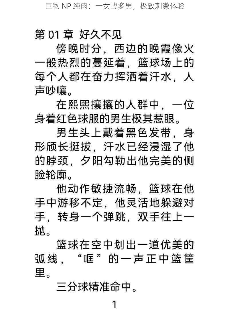 巨物 NP 纯肉:一女战多男,极致刺激体验