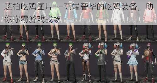 芝柏吃鸡图片——高端奢华的吃鸡装备,助你称霸游戏战场