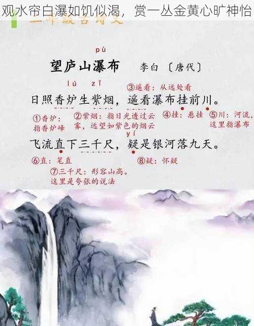 观水帘白瀑如饥似渴，赏一丛金黄心旷神怡