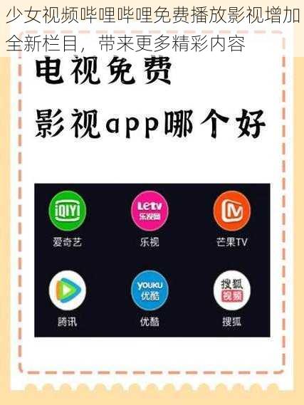 少女视频哔哩哔哩免费播放影视增加全新栏目，带来更多精彩内容