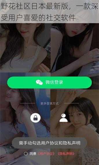 野花社区日本最新版，一款深受用户喜爱的社交软件