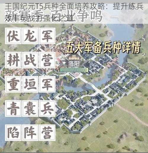 王国纪元T5兵种全面培养攻略：提升练兵效率与战力强化之道