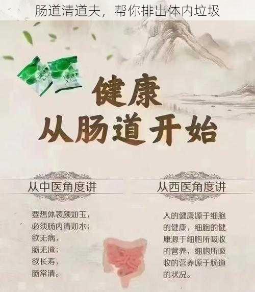 肠道清道夫，帮你排出体内垃圾