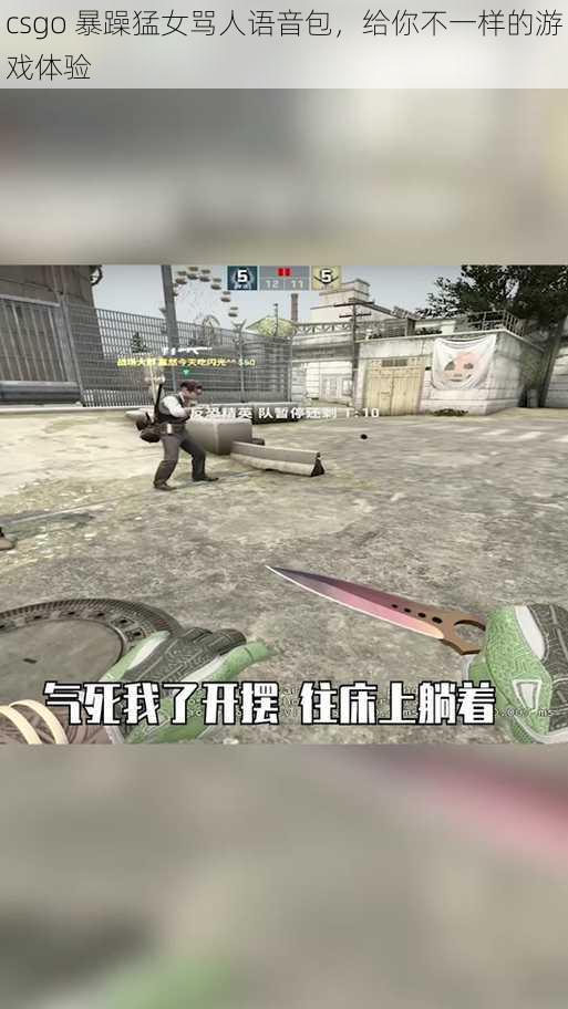 csgo 暴躁猛女骂人语音包，给你不一样的游戏体验