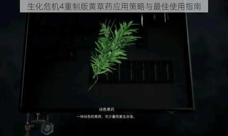 生化危机4重制版黄草药应用策略与最佳使用指南