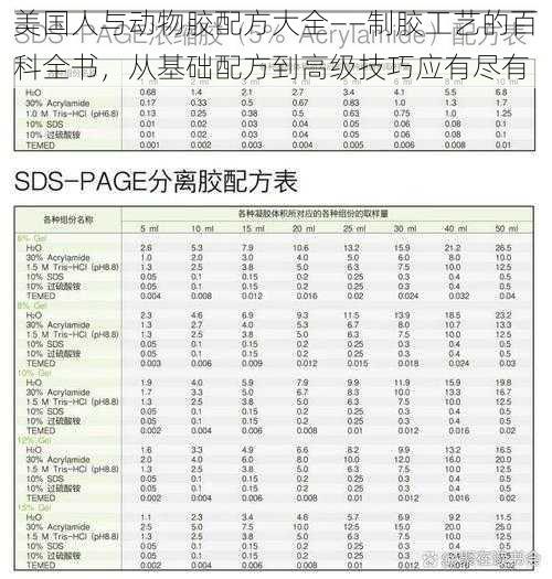 美国人与动物胶配方大全——制胶工艺的百科全书，从基础配方到高级技巧应有尽有